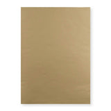 450x324 mm (C3) Manila Brown Envelope